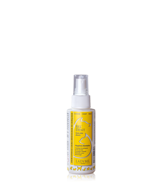 LADYBEL BEL'DENT 50 ml, hammastahna suihke