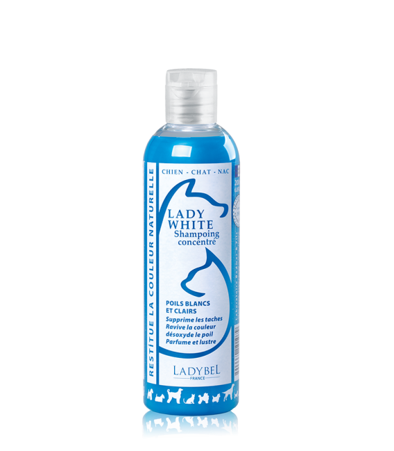 LADYBEL LADY WHITE sävyshampoo 1 L kamomilla vaaleat värit, poistuu valikoimasta