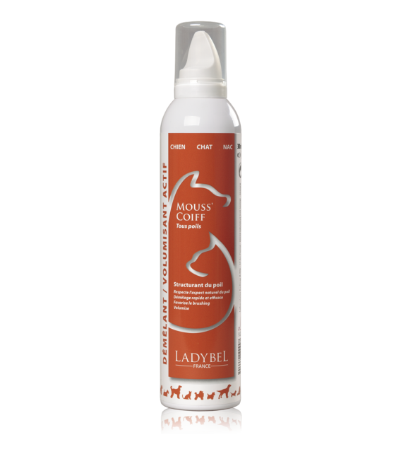 LADYBEL MOUSS'COIFF 300 ml, volyymivaahto