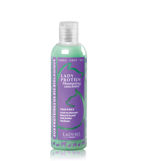 LADYBEL LADY PROTEIN shampoo  200 ml, ylellinen proteiinishampoo