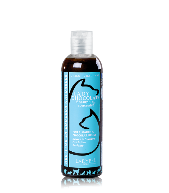 LADYBEL LADY CHOCOLATE sävyshampoo  200 ml kamomilla ruskea/punainen