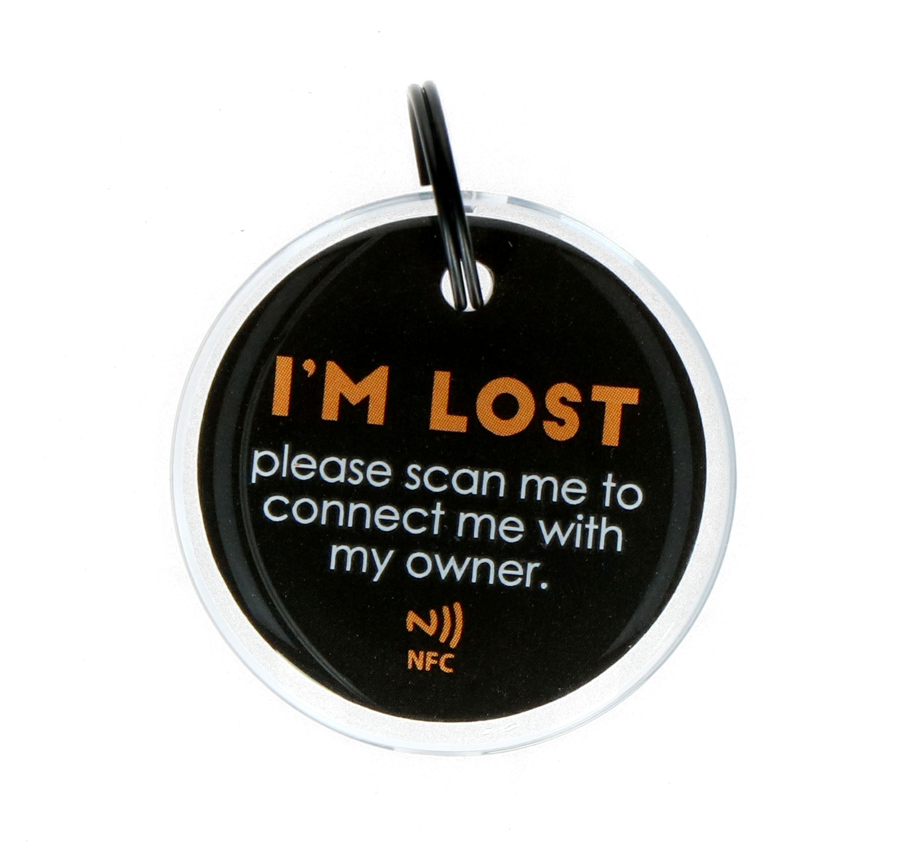 Spotted dog medium