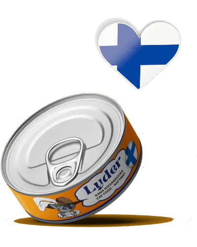 Lyder CAT Kana kissanruoka 200g me12