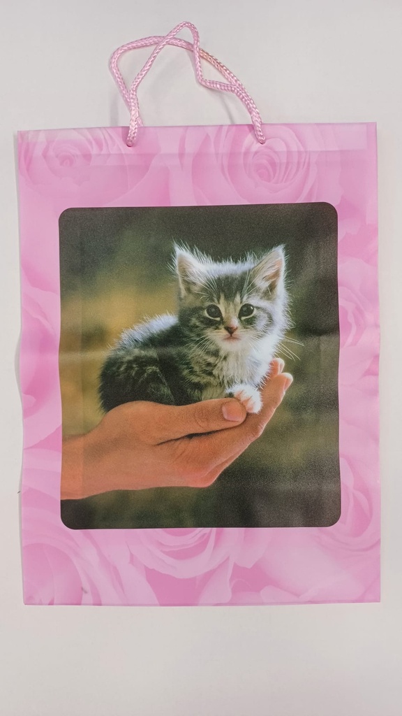 OSTOSKASSI VÄRI -KISSA2 poistuu valikoimasta