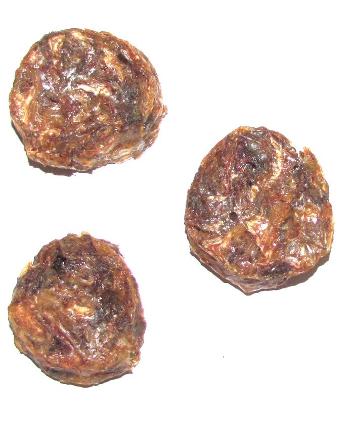 Fish Coin Redfish 1kg