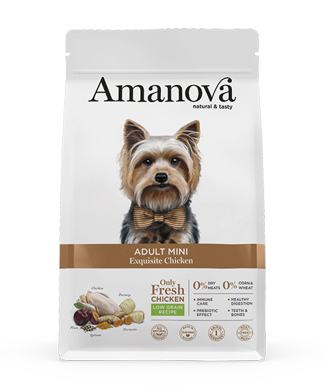 Amanova Mini kana & kvinoa aikuisille pienille koirille 2 kg