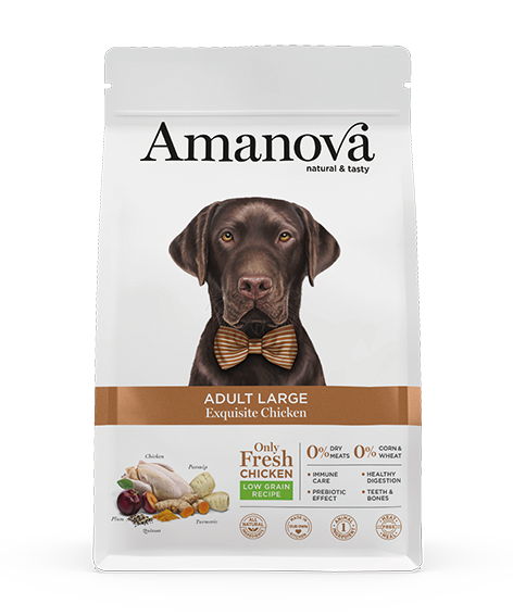 Amanova Large kana & kvinoa aikuisille isoille koirille 12 kg