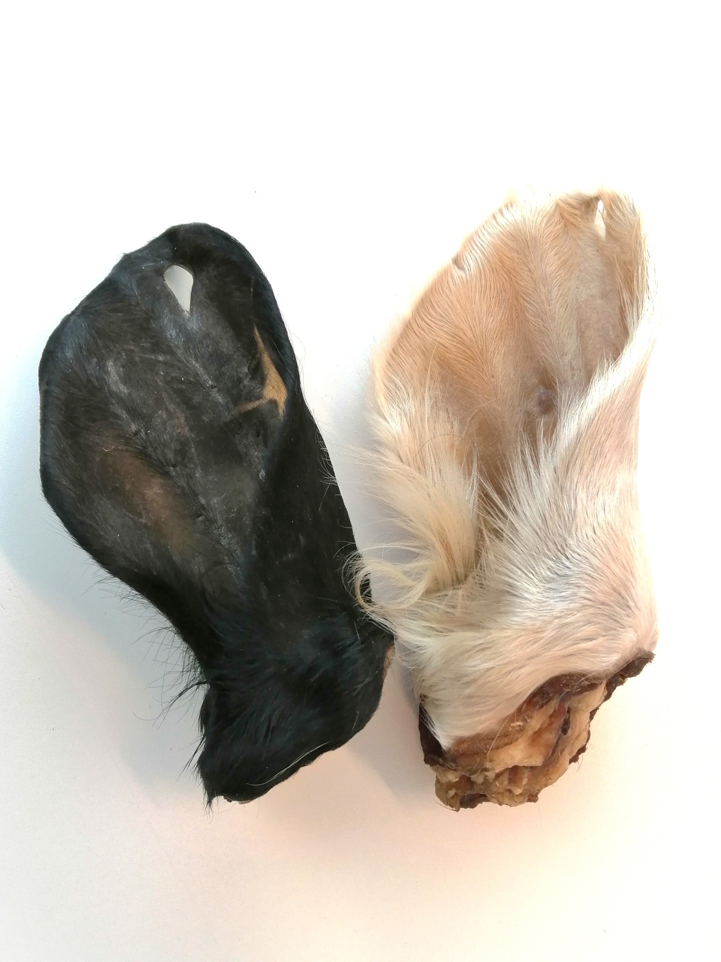 Bulk Beef ears with fur kg
