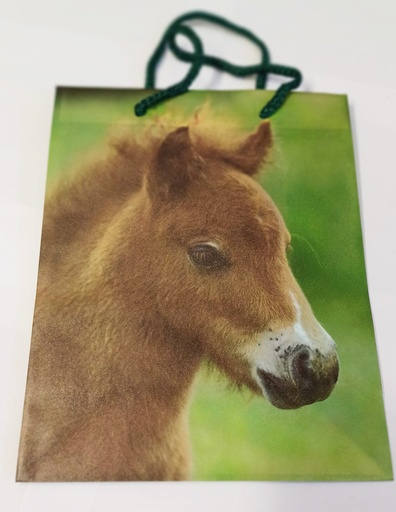 [76284] KASSI PIENI - PONI poistuu valikoimasta